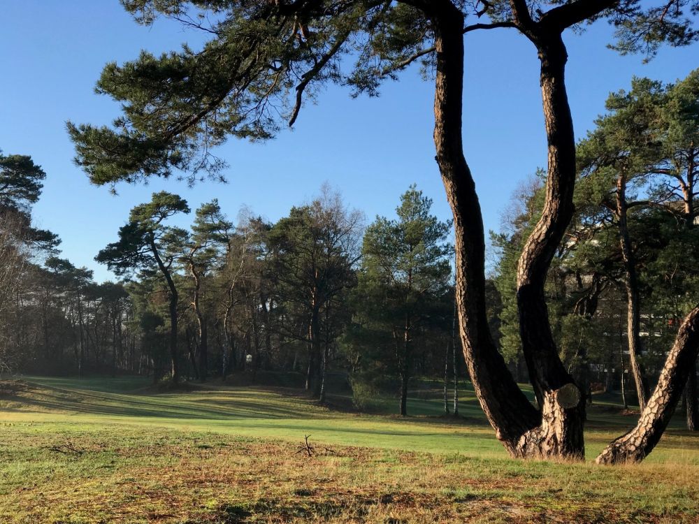 Golf en country club De Biltse Duinen